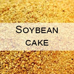 Soybean cake CRM feed sample with moisture, protein, oil (fat), urease