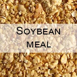 Soybean meal CRM feed sample with Moisture, Protein, Oil (fat), Urease