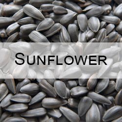 Sunflower Seeds CRM with Moisture, Oil (fat), Oleic acid